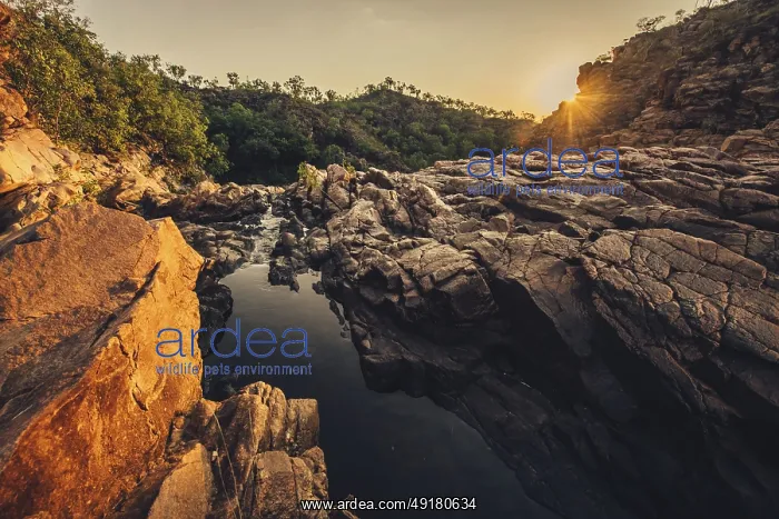 : Sunrise Edith Falls in northern Australia : Sunrise Edith Falls in northern Australia