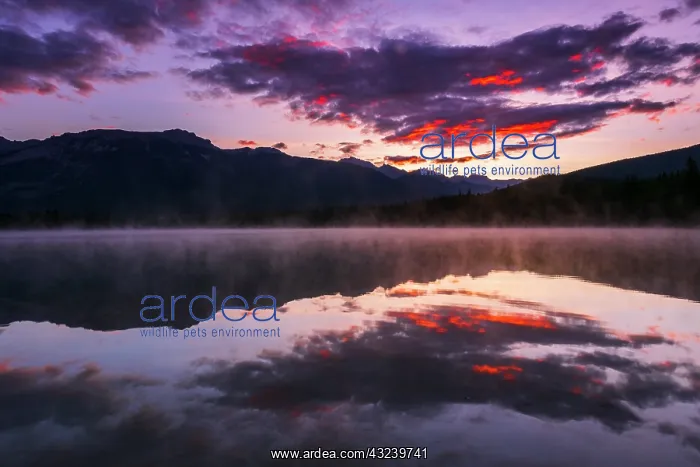 : Sunrise at Edith Lake, Jasper National Park, Alberta : Sunrise at Edith Lake, Jasper National Park, Alberta