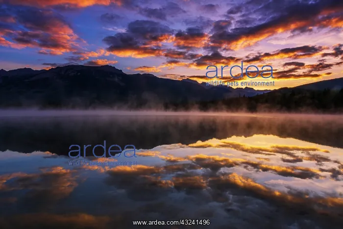  : Sunrise at Edith Lake, Jasper National Park, Alberta