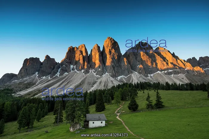 : Sunrise, Glatschalm below the Geislerspitzen, Villn&, x1b3cf4 : Sunrise, Glatschalm below the Geislerspitzen, Villn&, x1b3cf4