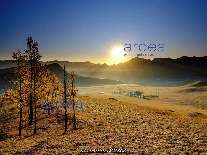 : Sunrise in Gorchi Terelj National Park, Ulan Bator : Sunrise in Gorchi Terelj National Park, Ulan Bator