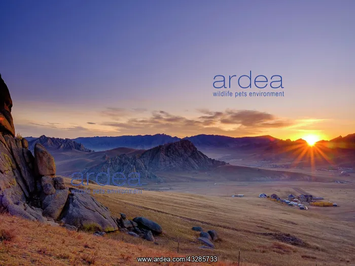: Sunrise in Gorchi Terelj National Park, Ulan Bator : Sunrise in Gorchi Terelj National Park, Ulan Bator