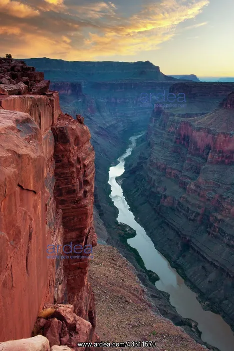 : Sunrise Grand Canyon North Rim, Toroweap Point : Sunrise Grand Canyon North Rim, Toroweap Point