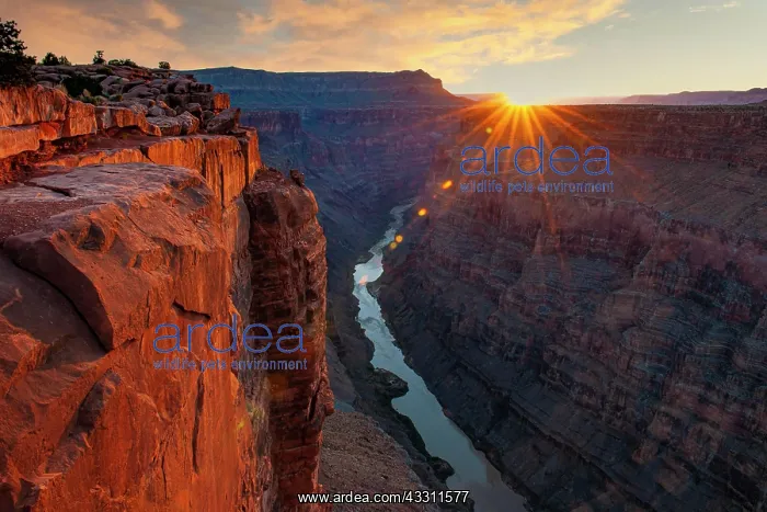 : Sunrise Grand Canyon North Rim, Toroweap Point : Sunrise Grand Canyon North Rim, Toroweap Point
