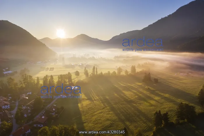 : Sunrise with ground fog, Jachenau, Isarwinkel, aerial : Sunrise with ground fog, Jachenau, Isarwinkel, aerial