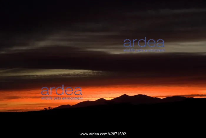 : Sunrise over the Henry Mountains : Sunrise over the Henry Mountains
