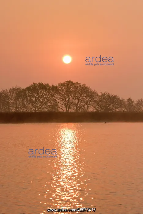 : Sunrise at Hickling Broad : Sunrise at Hickling Broad