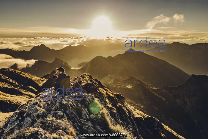 : Sunrise hike on the Hochplatte in the Ammergau Alps : Sunrise hike on the Hochplatte in the Ammergau Alps