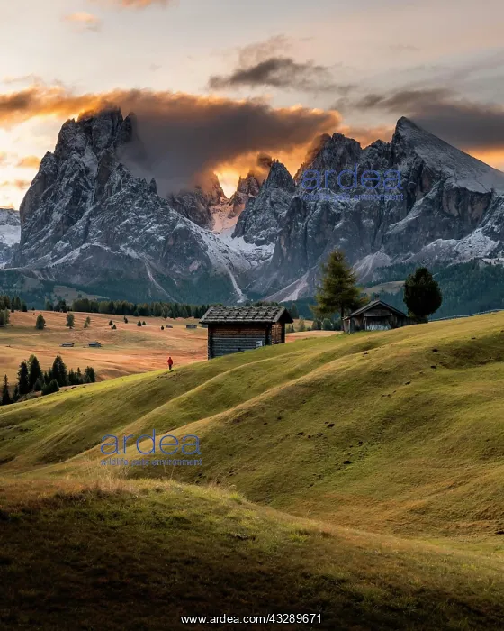 : Sunrise, Hiker, Alpine meadows with huts and trees : Sunrise, Hiker, Alpine meadows with huts and trees