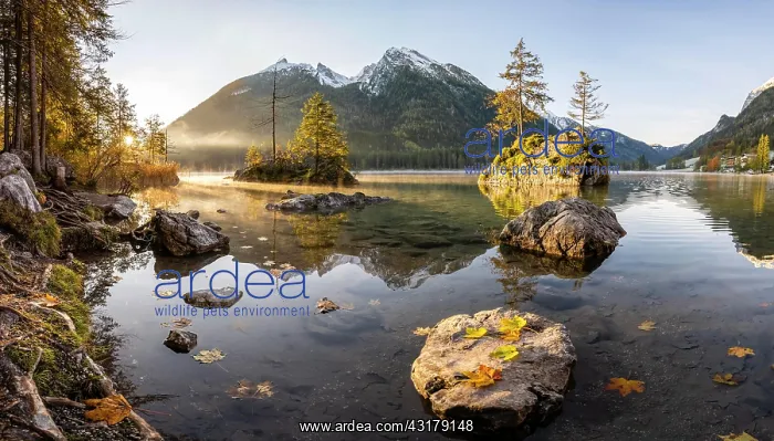 : Sunrise at Hintersee with fog, Hochkalter in the : Sunrise at Hintersee with fog, Hochkalter in the