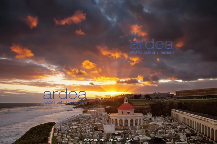 : Sunrise over historic Santa Maria Magdalena : Sunrise over historic Santa Maria Magdalena