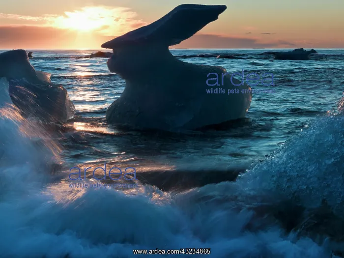 : Sunrise and iceberg formation on the beach : Sunrise and iceberg formation on the beach