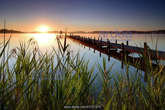: Sunrise, jetty on lake W&, xf6;rthsee, Bavaria : Sunrise, jetty on lake W&, xf6;rthsee, Bavaria