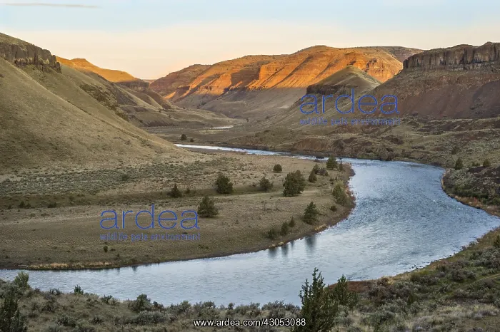 : Sunrise along John Day River (upstream of 30 Mile : Sunrise along John Day River (upstream of 30 Mile