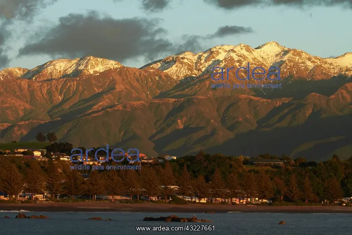 : Sunrise on Kaikoura and Seaward Kaikoura : Sunrise on Kaikoura and Seaward Kaikoura