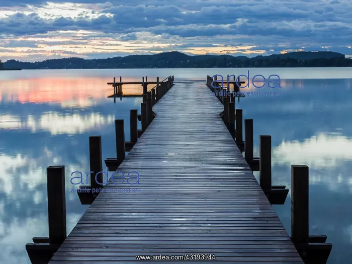 : Sunrise at Lake Woerthsee, Bavaria, Germany, Europe : Sunrise at Lake Woerthsee, Bavaria, Germany, Europe