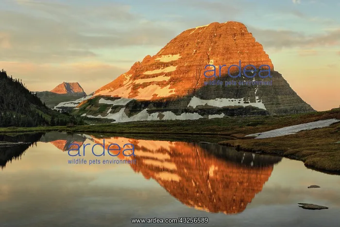  : Sunrise from Logan Pass, Glacier National