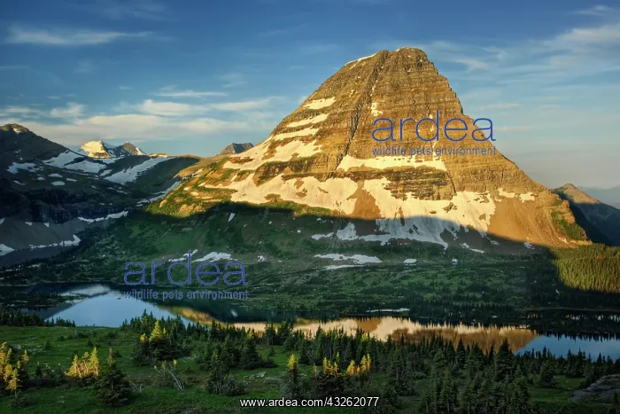 : Sunrise from Logan Pass, Glacier National : Sunrise from Logan Pass, Glacier National