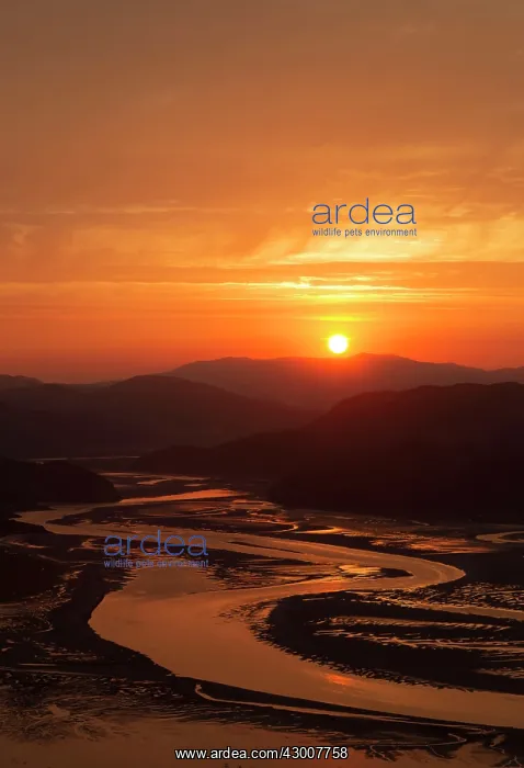 : Sunrise over the Mawddach Estuary August : Sunrise over the Mawddach Estuary August