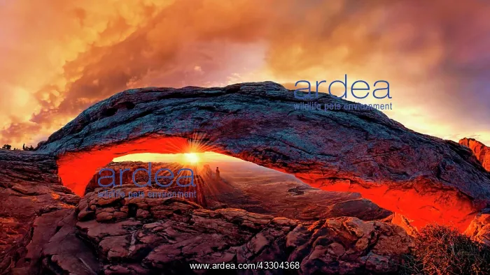 : Sunrise at the Mesa Arch arch, Canyonlands National : Sunrise at the Mesa Arch arch, Canyonlands National