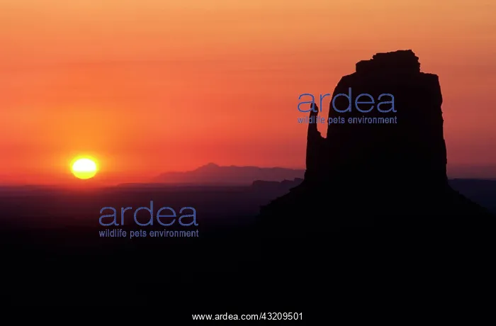 : Sunrise at Monument Valley. Arizona USA : Sunrise at Monument Valley. Arizona USA