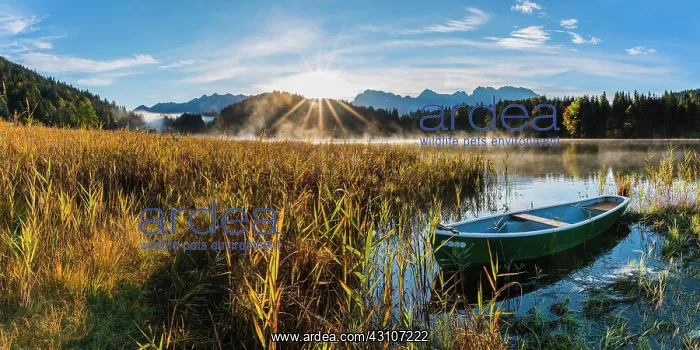 : Sunrise and morning fog, Geroldsee, behind it the : Sunrise and morning fog, Geroldsee, behind it the