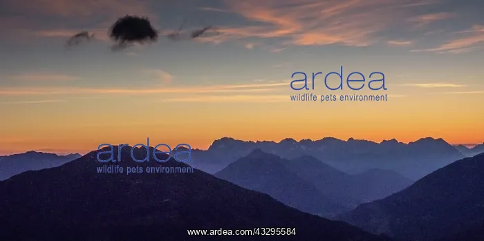 : Sunrise - over mountain tops : Sunrise - over mountain tops