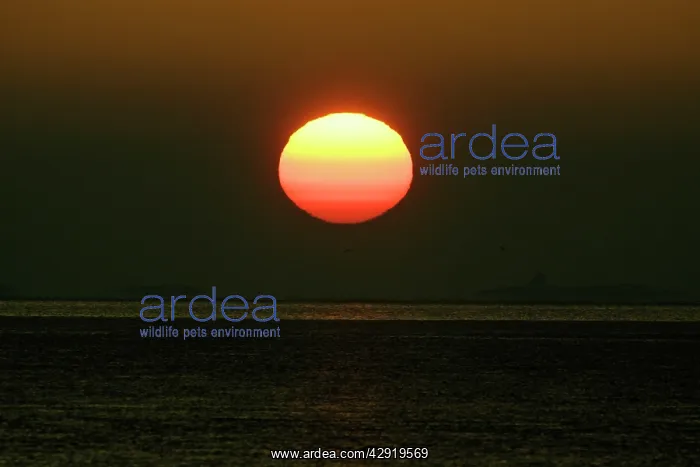 : Sunrise - over the North Sea : Sunrise - over the North Sea