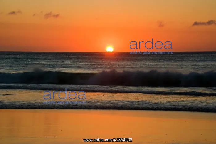 : Sunrise over ocean : Sunrise over ocean
