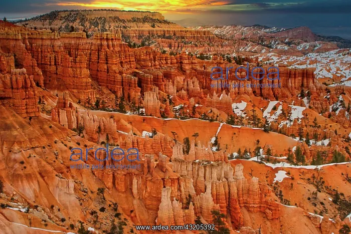 : Sunrise, panoramic view, Bryce Canyon with snow : Sunrise, panoramic view, Bryce Canyon with snow