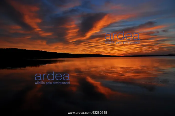 : Sunrise, Pewaukee Lake, Wisconsin, USA, North America : Sunrise, Pewaukee Lake, Wisconsin, USA, North America