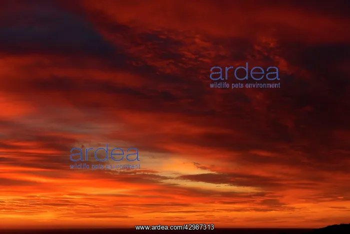 : Sunrise over Punta Norte : Sunrise over Punta Norte