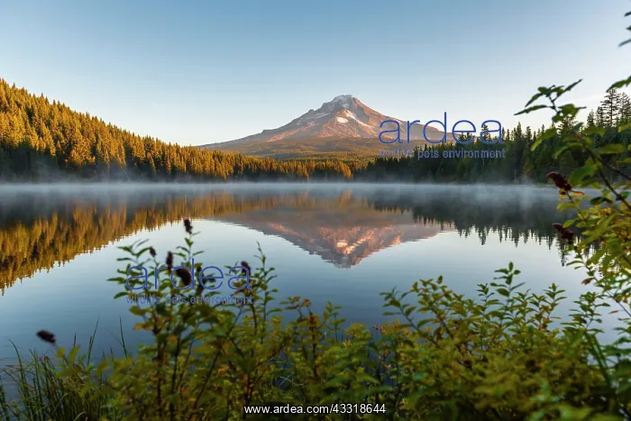 : Sunrise, reflection of the volcano Mt. Hood in Lake : Sunrise, reflection of the volcano Mt. Hood in Lake