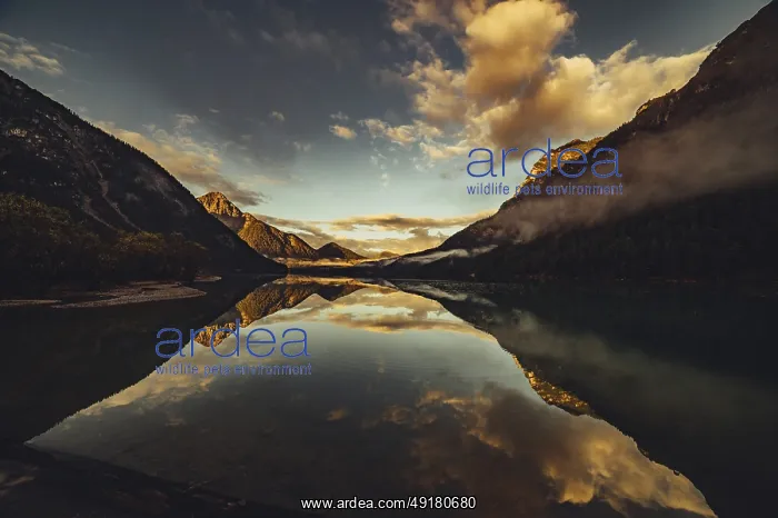 : Sunrise with reflections in Lake Heiterwanger See in Tyrol in the Alps in Austria : Sunrise with reflections in Lake Heiterwanger See in Tyrol in the Alps in Austria