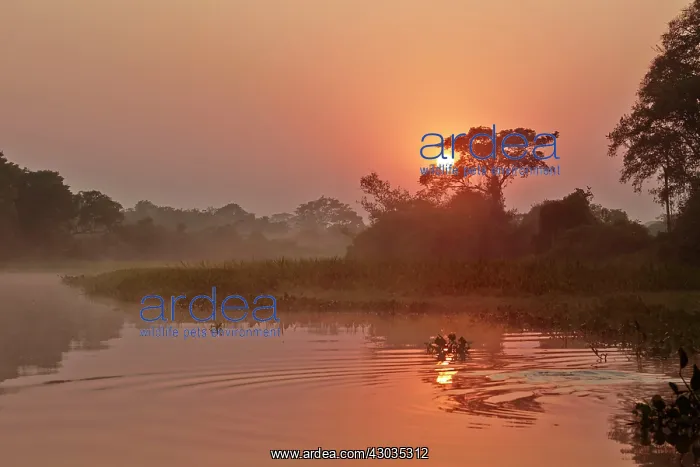 : Sunrise River Cuiaba Black channel Pantanal area : Sunrise River Cuiaba Black channel Pantanal area