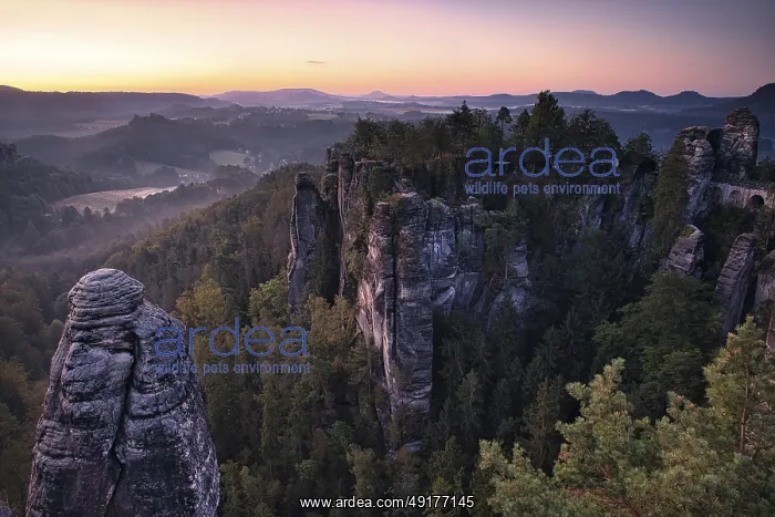 : Sunrise, rocks, mountains, forest : Sunrise, rocks, mountains, forest