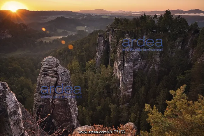 : Sunrise, rocks, mountains, forest : Sunrise, rocks, mountains, forest