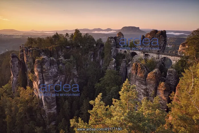 : Sunrise, rocks, mountains, forest : Sunrise, rocks, mountains, forest