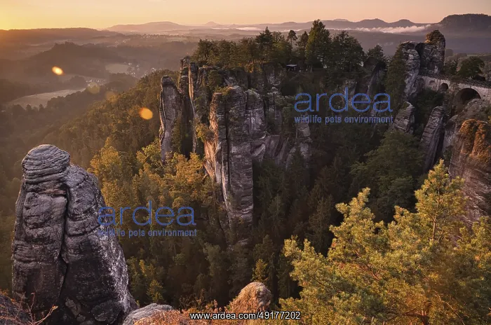 : Sunrise, rocks, mountains, forest : Sunrise, rocks, mountains, forest