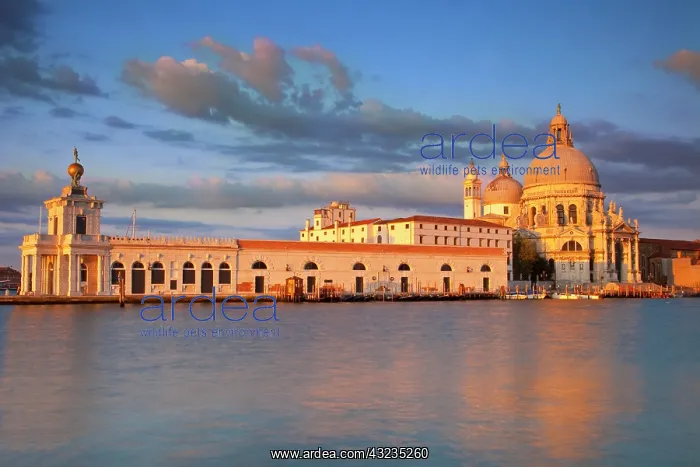 : Sunrise over Santa Maria della Salute along : Sunrise over Santa Maria della Salute along