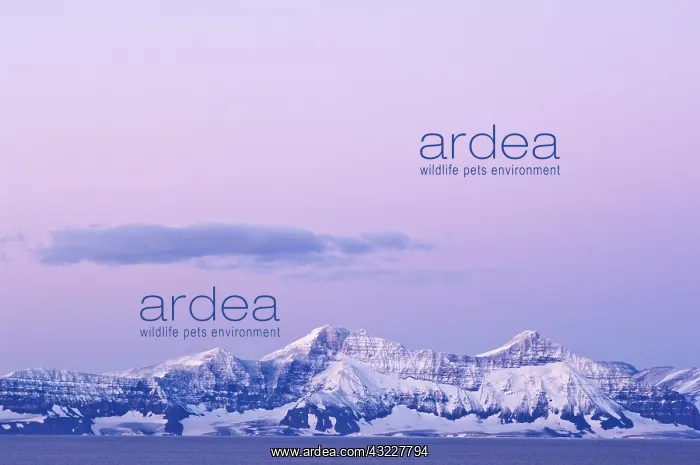  : Sunrise, Scoresby Sound, East Coast of Greenland