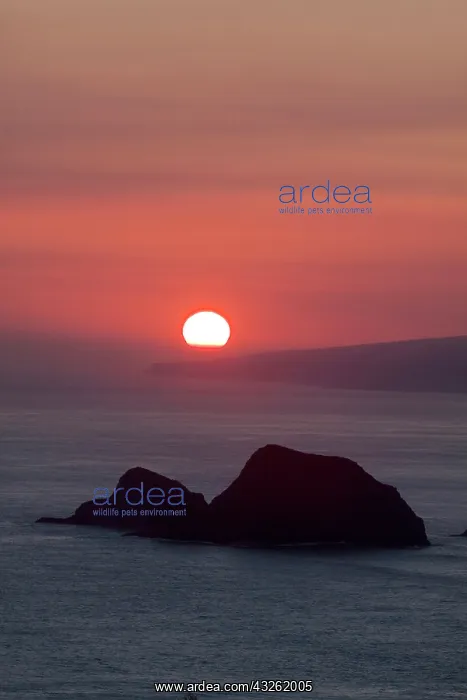 : Sunrise from Sea Cliffs at Pololu lookout : Sunrise from Sea Cliffs at Pololu lookout