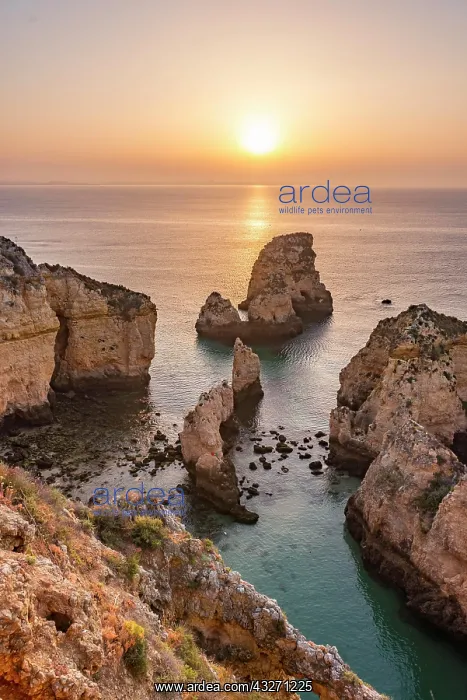 : Sunrise over the sea, rocky coast of sandstone : Sunrise over the sea, rocky coast of sandstone