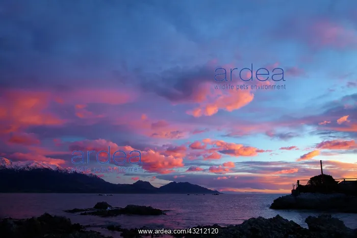  : Sunrise over Seaward Kaikoura Ranges, Kaikoura