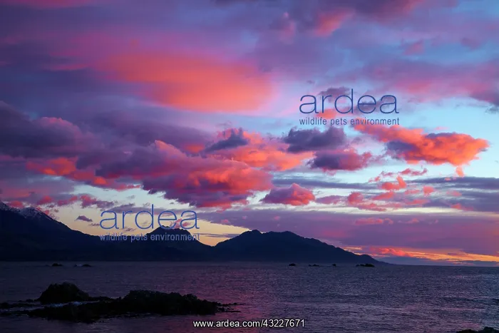 : Sunrise over Seaward Kaikoura Ranges, Kaikoura : Sunrise over Seaward Kaikoura Ranges, Kaikoura