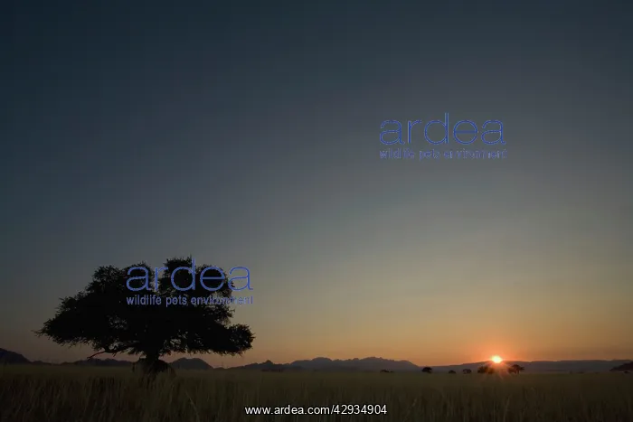 : Sunrise as seen from the camp site at Sesriem