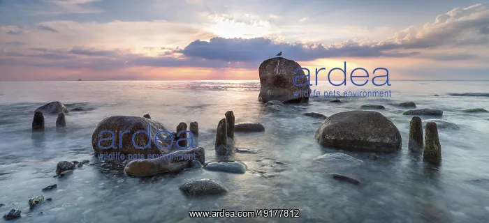 : Sunrise on the shore of the Baltic Sea : Sunrise on the shore of the Baltic Sea