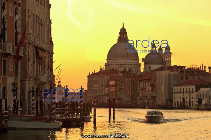 : Sunrise sky colors near San Maria Del Giglio : Sunrise sky colors near San Maria Del Giglio