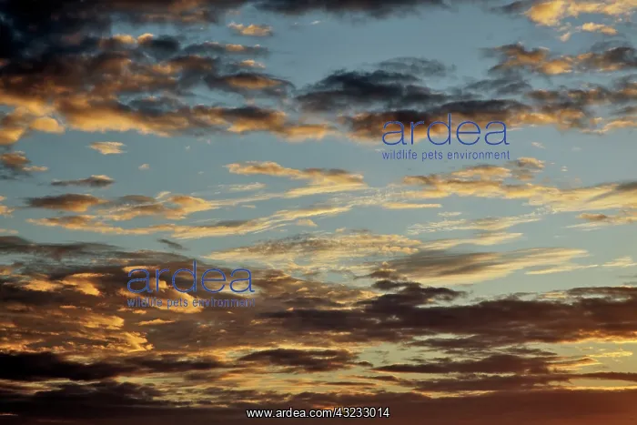 : Sunrise sky, Yellow Mountain, Huangshan : Sunrise sky, Yellow Mountain, Huangshan