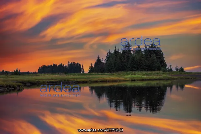 : Sunrise on slough of Silver Salmon Creek, Lake Clark : Sunrise on slough of Silver Salmon Creek, Lake Clark